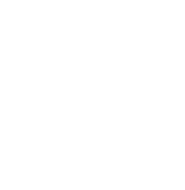 Rigoberto Velázquez Consultor